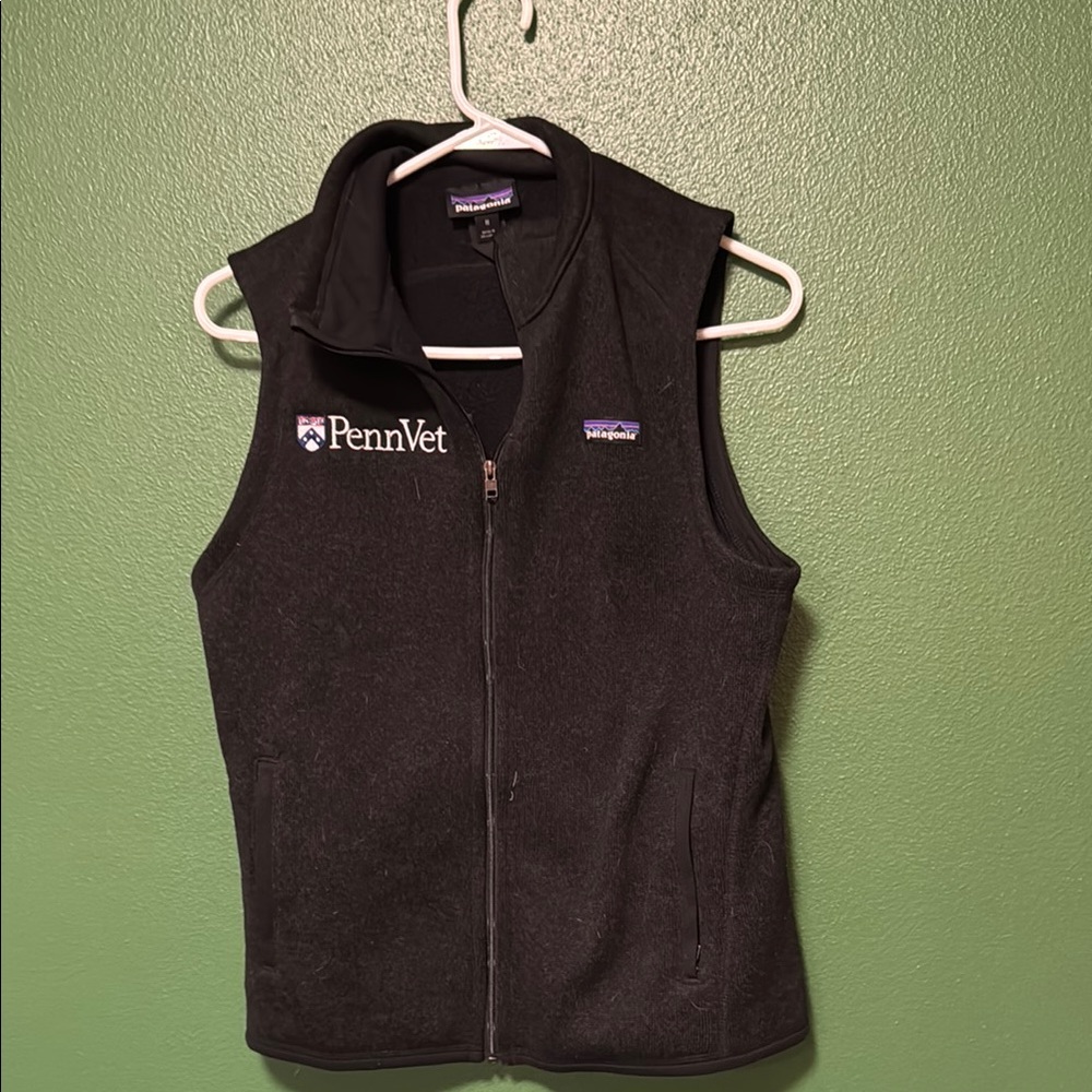 Patagonia Black Fleece Vest